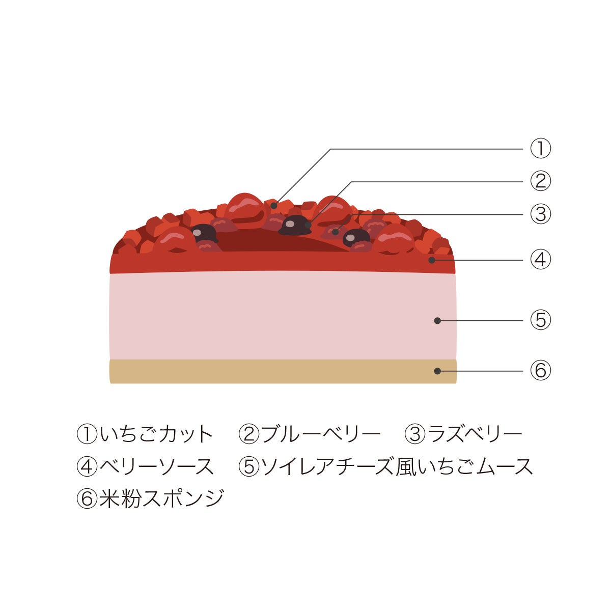 TOIRO Debuts ¥5,500 Snow White Cake in Tokamachi, Niigata