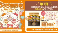 yoshinoya hello kitty frozen beef bowl sets japan 01