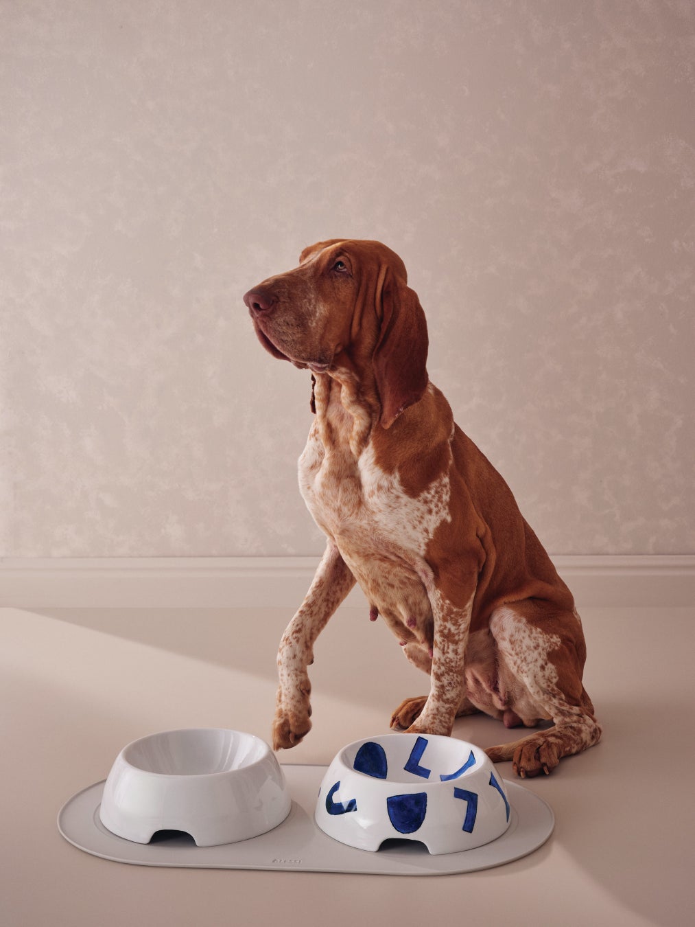 Itsumo Pet Yunoki Ware Large Dog Water Bowl, Large Dog Food Bowl, and Large Pet Food Mat.