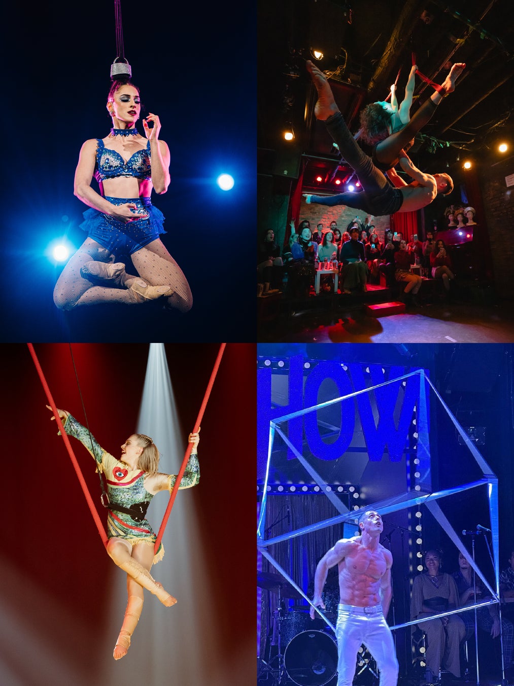 ■ Highlights: From November 27 (Fri), Tokyo's first outdoor Christmas circus 'AURA' will be held at Ueno Onshi Park and Shinsenen Pond special venue until December 24 (Thu). Featuring performances from around the world under the theme of 'Festivity,' including CLOUD SWING, HAIR HANGING, DUO STRAPS, HULA HOOP, and CUBE, creating a magical Christmas circus experience. Performance times are 9:15 and 20:15 to 21:00 (scheduled). Tickets are pre-sale ¥3,500 (tax included), and on the day ¥4,000 (tax included). Entry for middle school students and below is ¥1,000 (tax included).