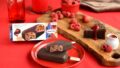 haagen dazs raspberry gateau chocolat cake bar japan 01