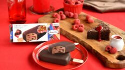 haagen dazs raspberry gateau chocolat cake bar japan 01