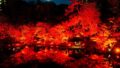 happo en tokyo red garden 2026 tokyo light up 01