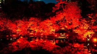 Free Light-Up: Happo-en’s TOKYO RED GARDEN 2026 in Tokyo, Nov 27–Dec 6 November 27