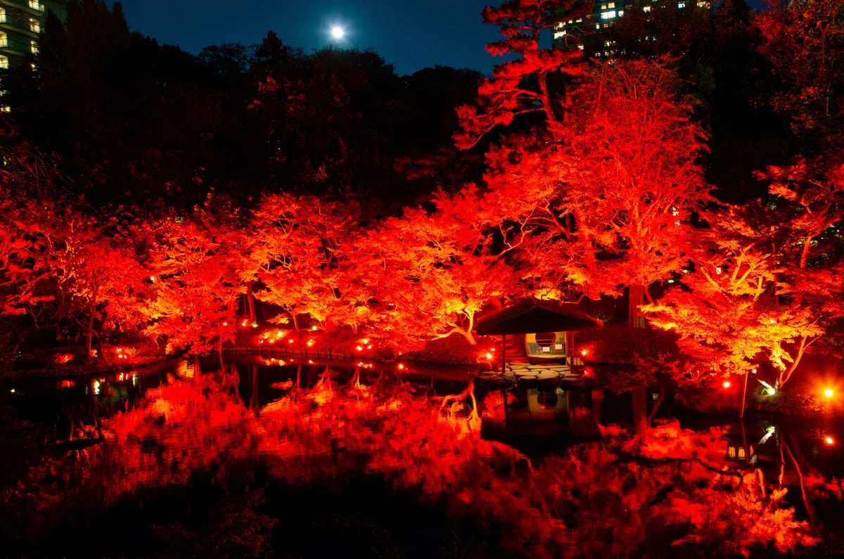 This is a past photo of the illumination.