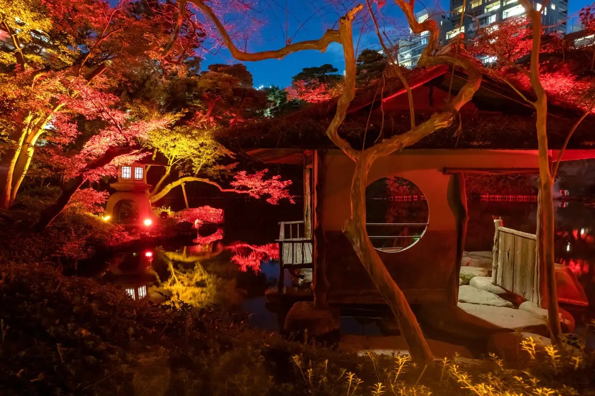 This is a past photo of the illumination.