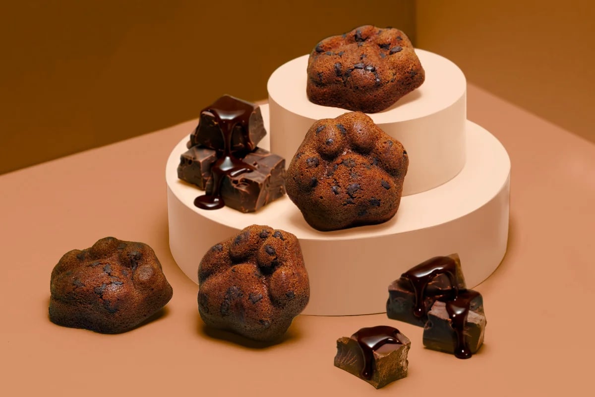 ¥1,296 KOKUNEKO Chocolate Financier Arrives in Fukuoka From October 17