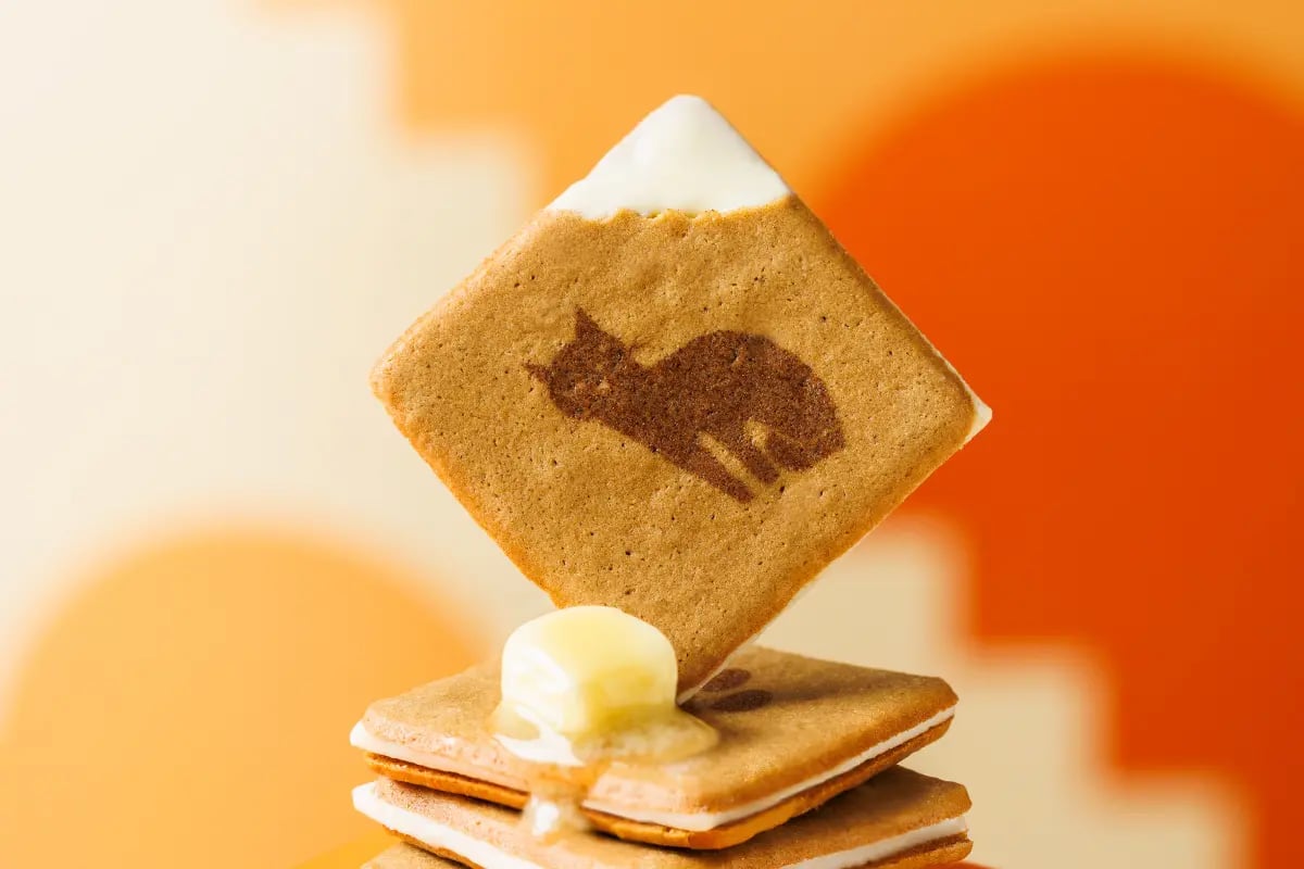 The dough, kneaded with brown sugar and grass-fed butter, is lightly baked and sandwiched with butter-flavored chocolate in a langue de chat. The gentle sweetness of brown sugar and the richness of butter blend to create a deep flavor. The surface is decorated with a cute cat face and paw prints, adding a playful charm. Available in 9 pieces for ¥1,458 (tax included) and 18 pieces for ¥2,916 (tax included).