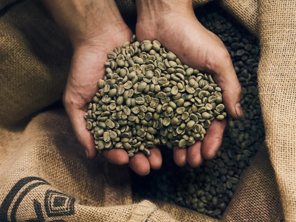 All stores are equipped with roasting machines, allowing customers to purchase freshly roasted beans directly. Beans roasted at Yachiyo Factory are available within 2-3 days, and only beans roasted within the past week are sold.