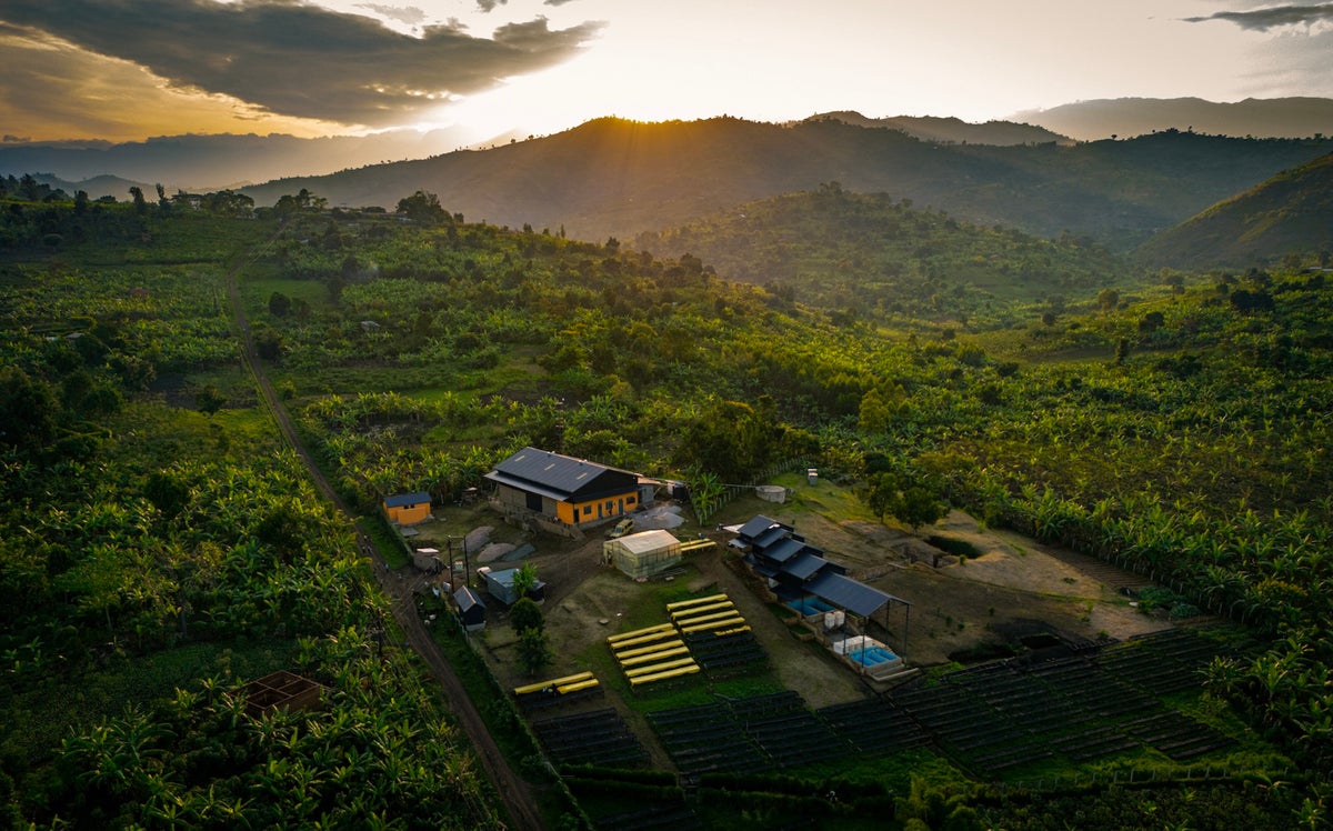 Lykke Coffee Farms Debuts in Japan at SCAJ 2026 From October 14