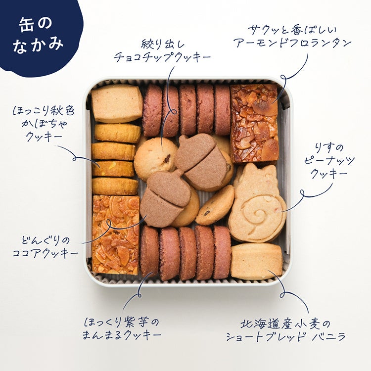 ¥3,280 Early-Bird Deal: Snaq.me’s “Donguri Mikke!” Cookie Tin From October 1