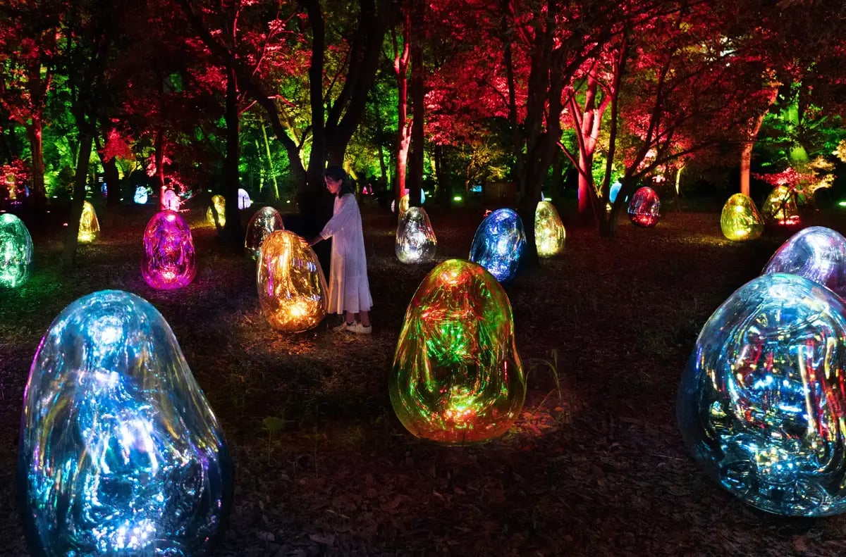 From ¥900: teamLab Hamarikyu Night Art in Tokyo, Nov 25–Dec 24 October 23
