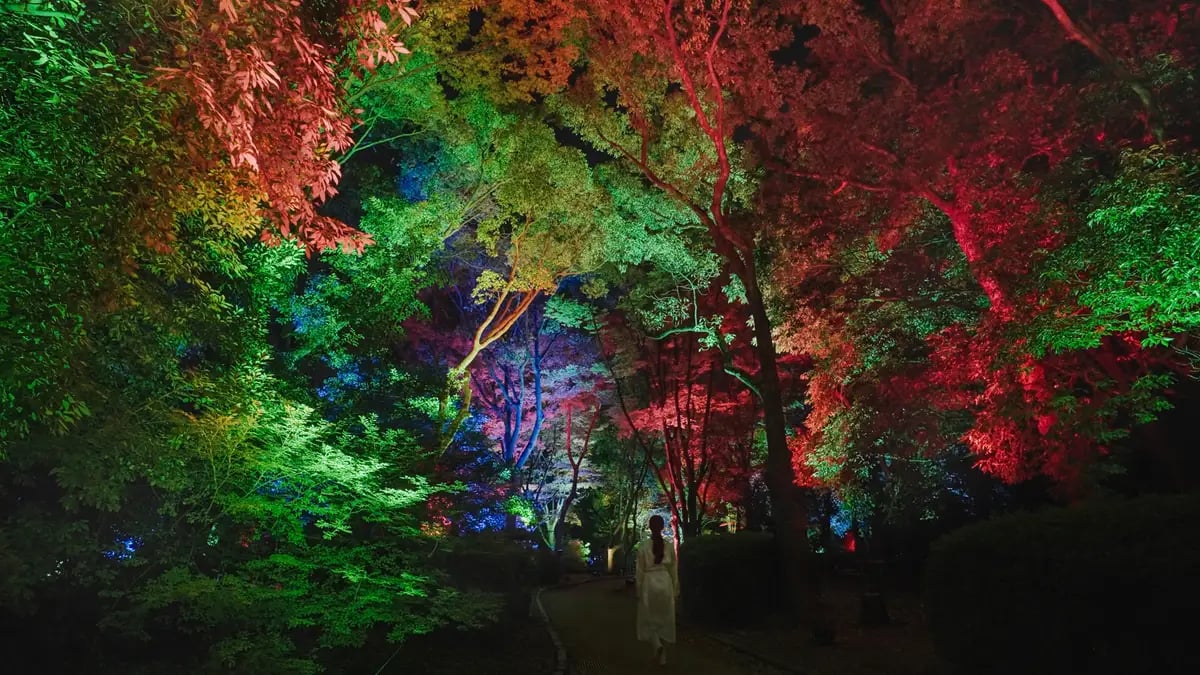 From ¥900: teamLab Hamarikyu Night Art in Tokyo, Nov 25–Dec 24 October 23