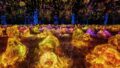 teamlab kyoto teahouse in a sea of light itteki an 01