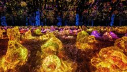 teamlab kyoto teahouse in a sea of light itteki an 01