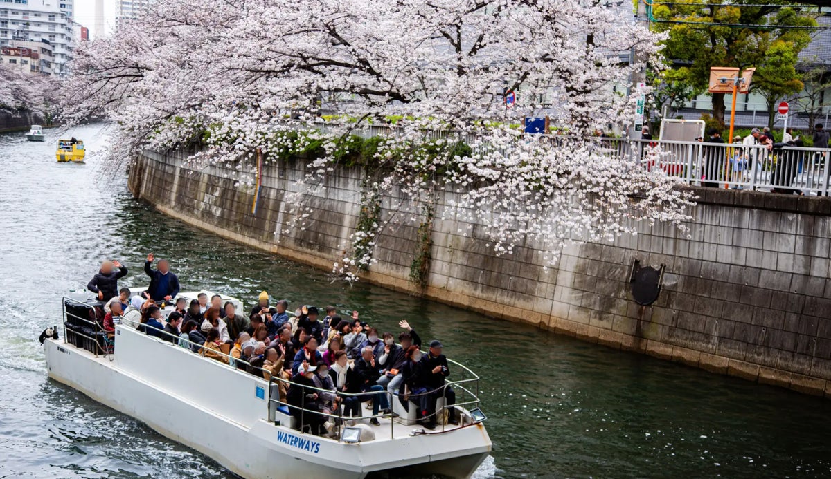¥27,500 Deal: Tokyo Waterways Tokyo Bay Fireworks Cruise — From October 24
