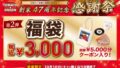 tomato and onion lucky bag japan 3000 yen coupons goods 01