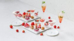 winter strawberry afternoon tea tokyo bay shiomi prince hotel 01