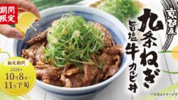 yakitate no karubi kujo negi beef bowl 810 yen 01